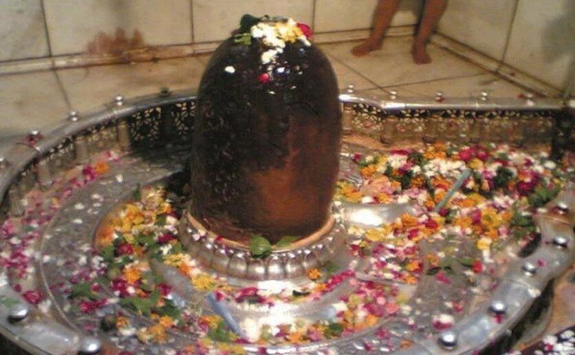 Kaalsarp Dosh Puja in Ujjain, Mangal Dosh Pujan